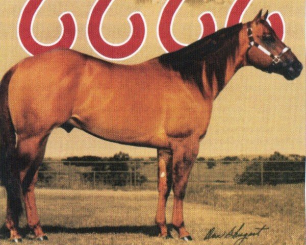 stallion Mr Sun Olena (Quarter Horse, 1991, from Doc OLena)