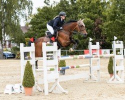 jumper Corenne (Holsteiner, 2010, from Clarimo Ask)