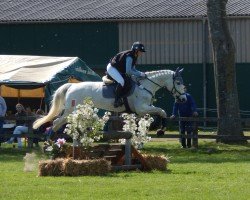 jumper White Girl (German Sport Horse, 2006, from Rudelsburg)