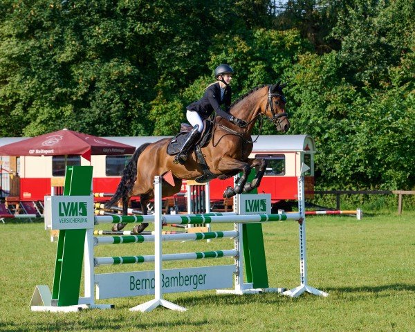 dressage horse Masqat (Trakehner, 2018, from Helium)