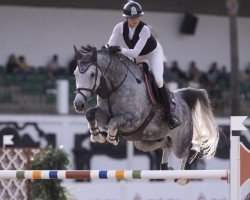 jumper Oreo Vom Weihergut CH (Swiss Warmblood, 2016, from Diamant de Semilly)