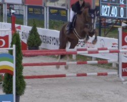 jumper Ivoor (KWPN (Royal Dutch Sporthorse), 2013)