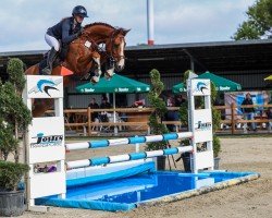 jumper Tabaluga 292 (Oldenburg show jumper, 2020, from Tangelo van de Zuuthoeve)