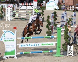jumper Cordula Grün 2 (Oldenburg show jumper, 2015, from Christian 25)