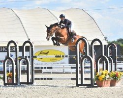 stallion Buster Moon (Hanoverian, 2015, from Blockbuster)