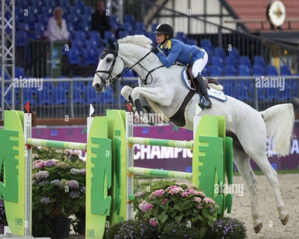 jumper Arac du Seigneur (Belgian Warmblood, 2006, from Ogano Sitte)