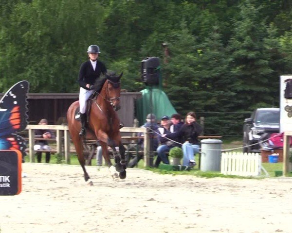 Reitturnier Kropp 2025