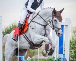 jumper Kona 6 (German Sport Horse, 2016, from Con Sherry)