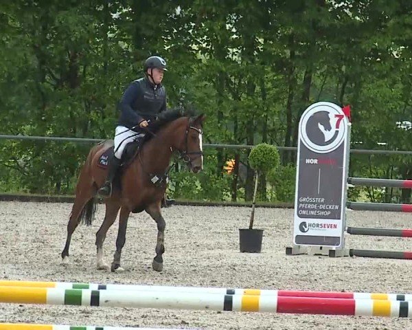 Reitturnier Landenhausen 2025