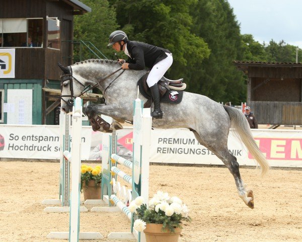 jumper U Kiskadee (Swiss Warmblood, 2020)