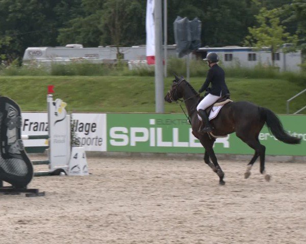 Reitturnier Borken 2025
