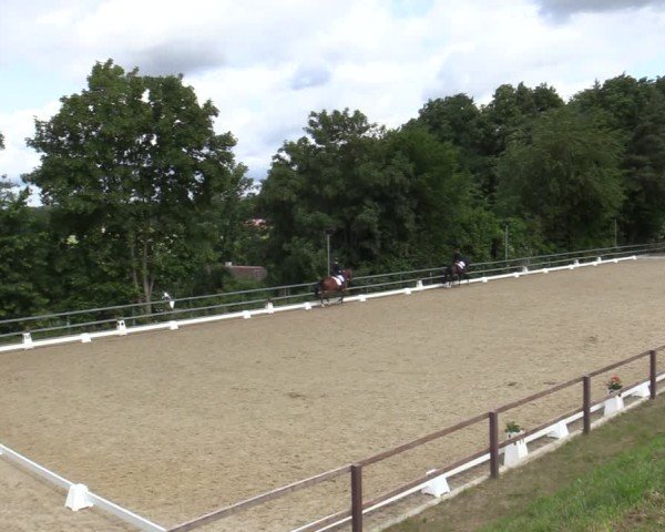 Reitturnier Iserlohn-Kalthof 2025