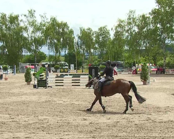 Reitturnier Landenhausen 2025