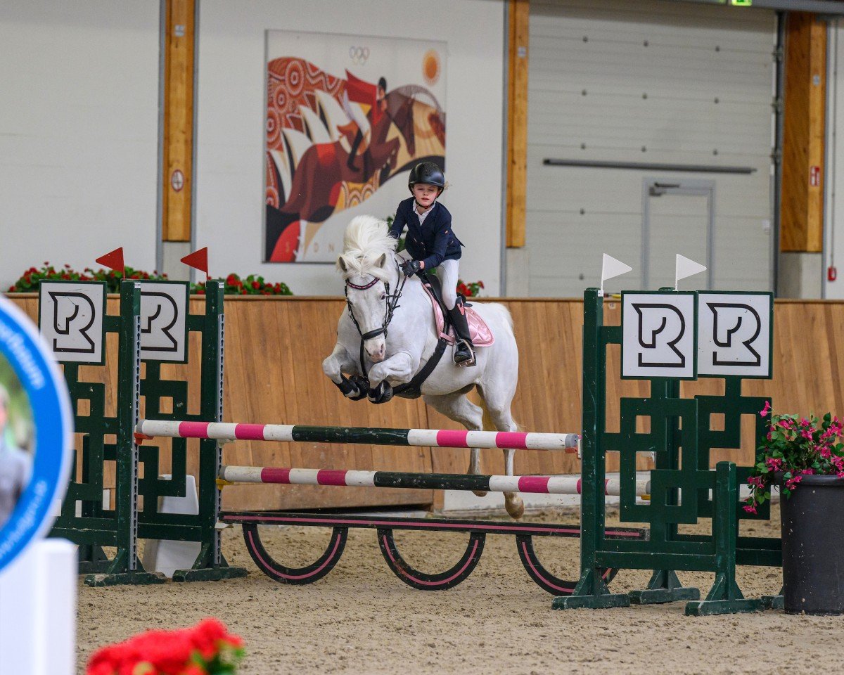 jumper Veehaypee du Serein (French Pony, 2009, from Dexter Leam Pondi)