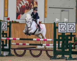 jumper Veehaypee du Serein (French Pony, 2009, from Dexter Leam Pondi)