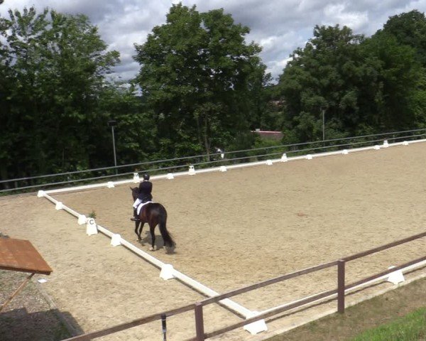 Reitturnier Iserlohn-Kalthof 2025