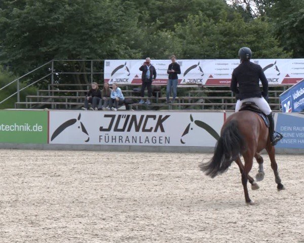 Reitturnier Borken 2025