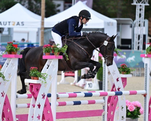 jumper Jones de la Mure (Selle Français, 2019, from Qlassic Bois Margot)