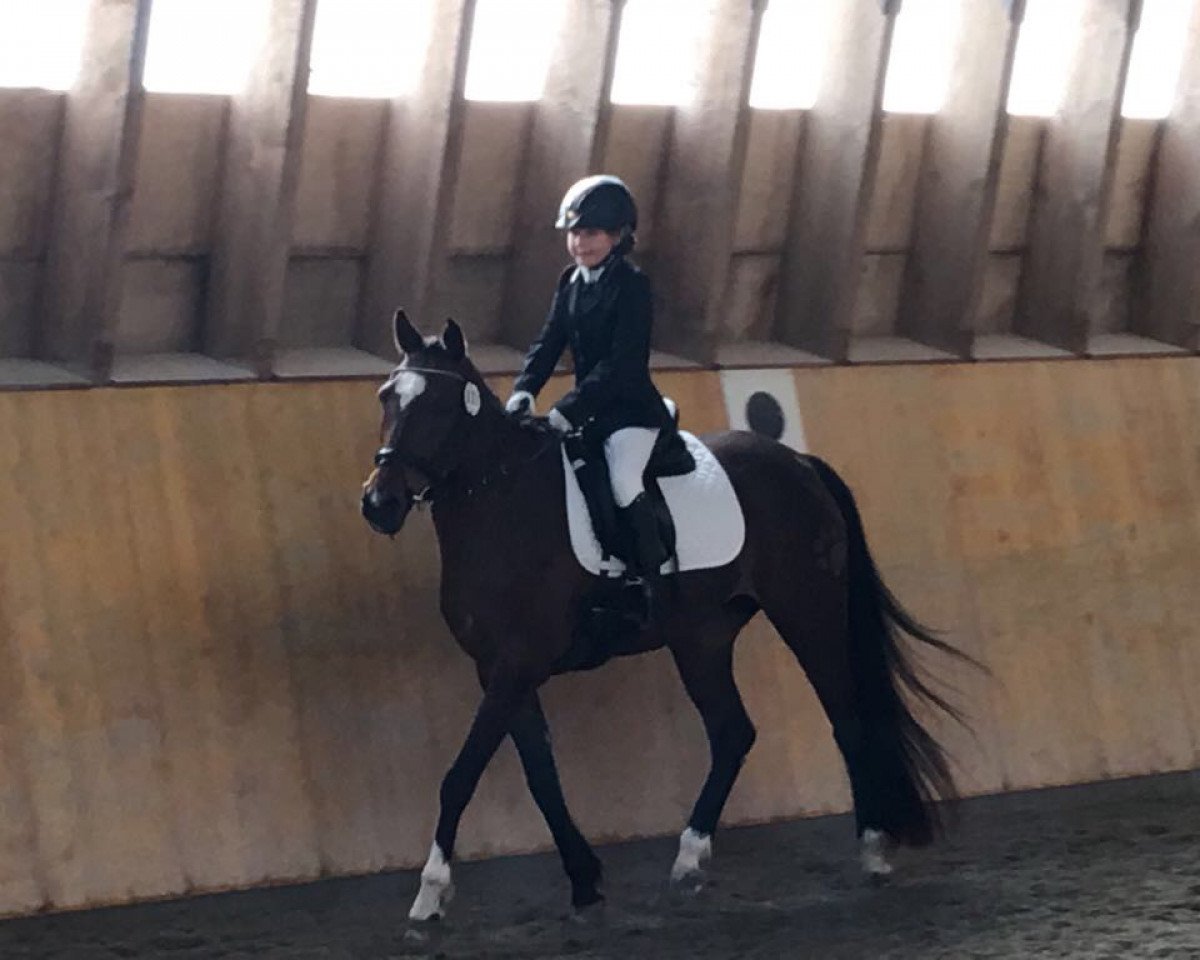 dressage horse Valesca (German Riding Pony, 2001, from Valido)