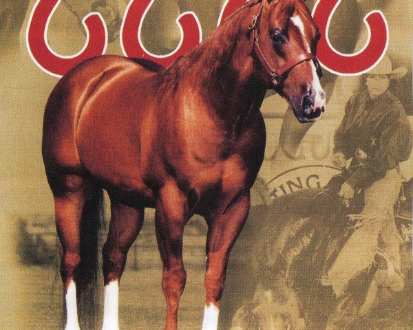 horse Playin Stylish (Quarter Horse, 1995, from Docs Stylish Oak)