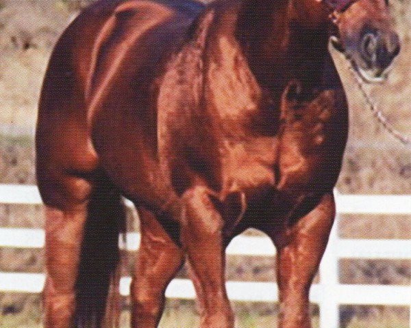 horse Peponaut (Quarter Horse, 1993, from Peppy San Badger)