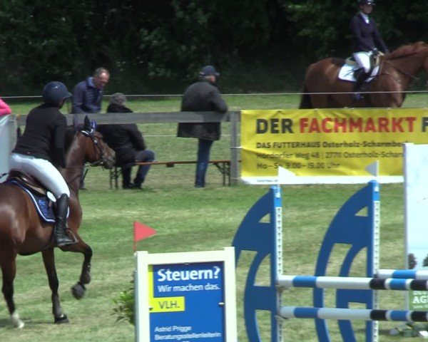 Reitturnier Pennigbüttel 2025