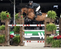 jumper La Contessa (Mecklenburg, 2015, from License)