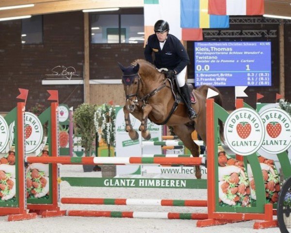 stallion Twistano (Westphalian, 2018, from Twister de la Pomme)