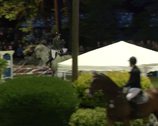 Reitturnier Cottbus-Sielow 2025