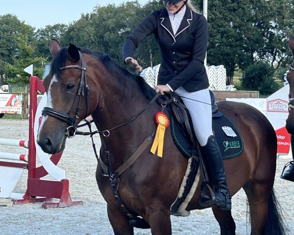 jumper Camilla (Oldenburg, 2014, from Chekandino)