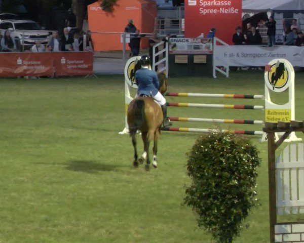 Reitturnier Cottbus-Sielow 2025