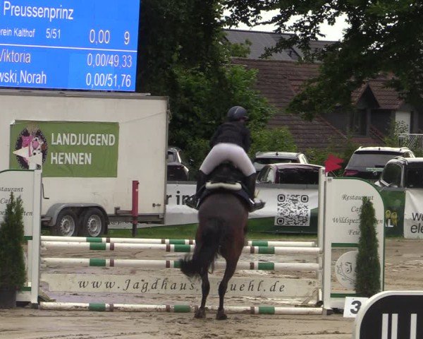 Reitturnier Iserlohn-Kalthof 2025
