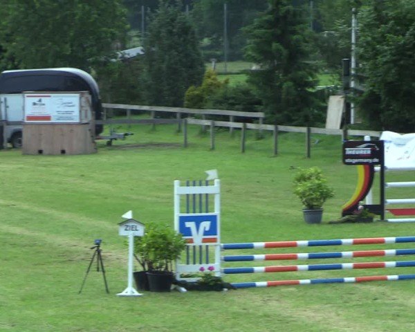 Reitturnier Pennigbüttel 2025