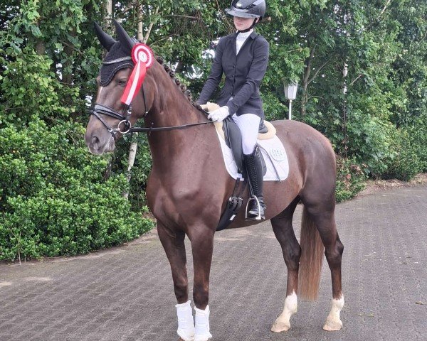 dressage horse Venezia 94 (Oldenburg, 2020, from Le Formidable)