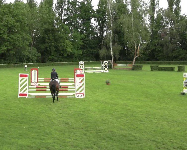 Reitturnier Westeregeln 2025
