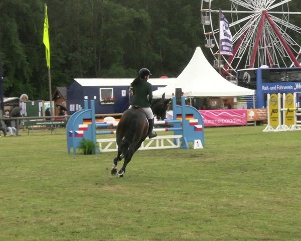 Reitturnier Horka 2025