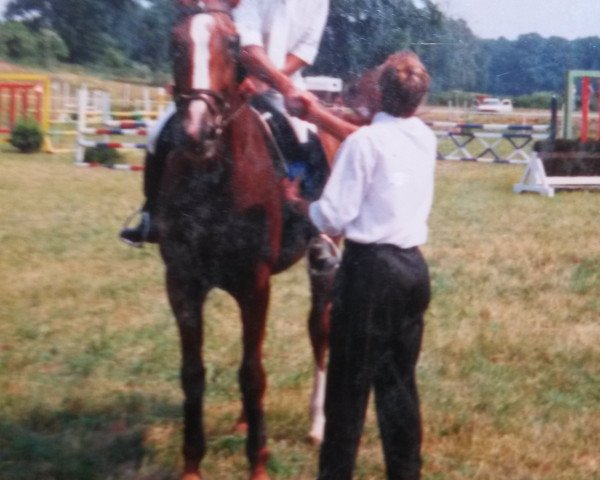 broodmare Dreiste (Mecklenburg,  , from Dreister)