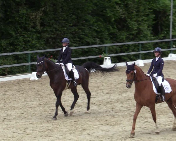 Reitturnier Iserlohn-Kalthof 2025
