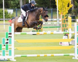 jumper Corisha del Maset (Spanish Sport Horse, 2017, from Cornet Obolensky)