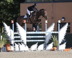 jumper El Dandy del Maset (Spanish Sport Horse, 2018, from Eldorado van de Zeshoek)