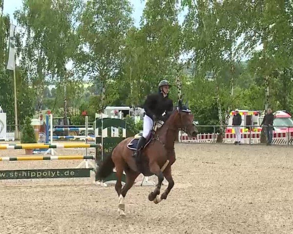 Reitturnier Landenhausen 2025