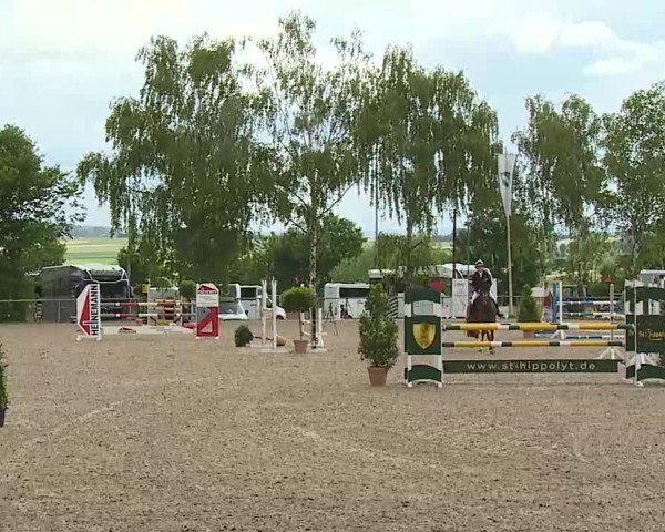 Reitturnier Landenhausen 2025