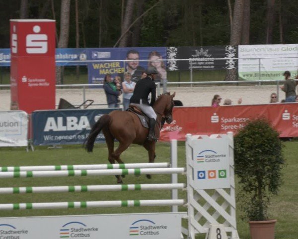 Reitturnier Cottbus-Sielow 2025