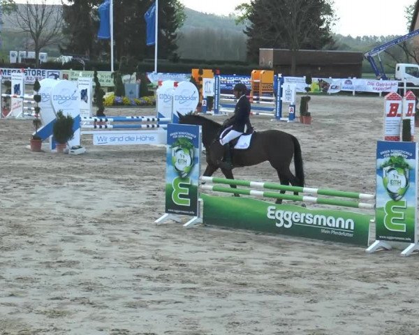 Lenklarer Reitertage 2014