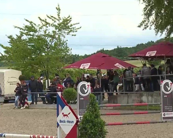 Reitturnier Landenhausen 2025