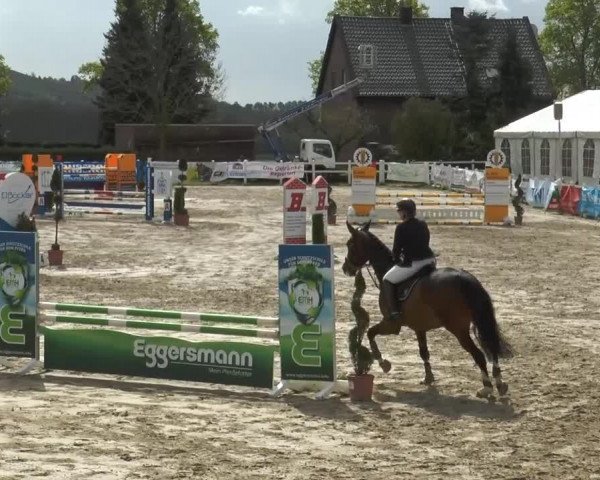 Lenklarer Reitertage 2014