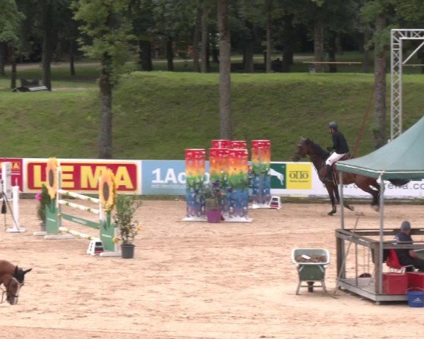 Reitturnier Stadl-Paura 2025