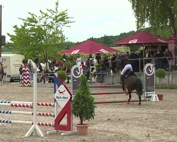 Reitturnier Landenhausen 2025