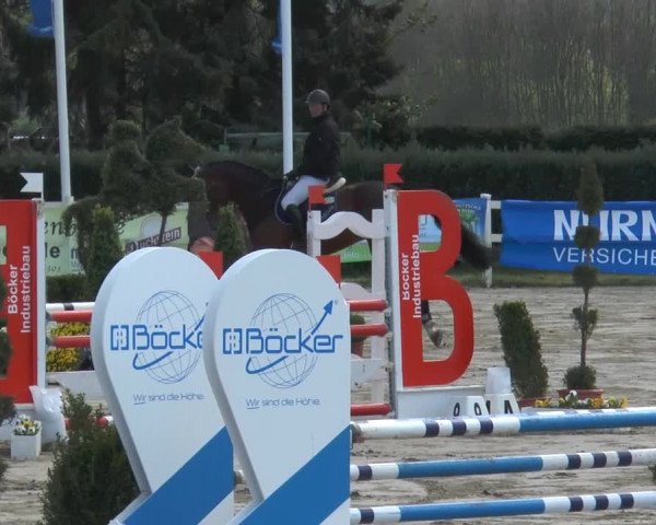 Lenklarer Reitertage 2014