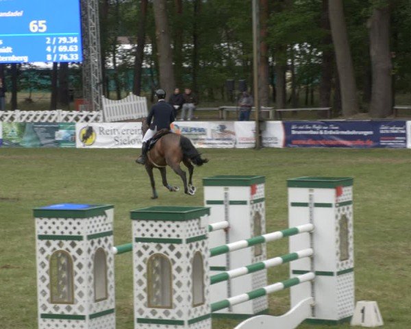 Reitturnier Cottbus-Sielow 2025